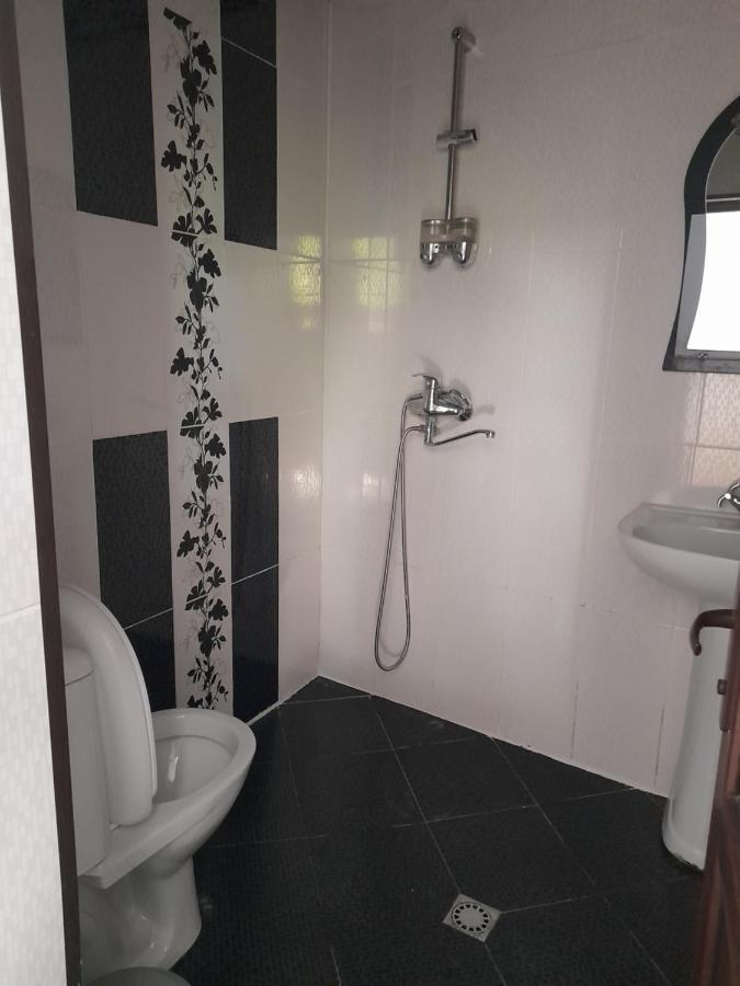 Guesthouse Borjomi ภายนอก รูปภาพ